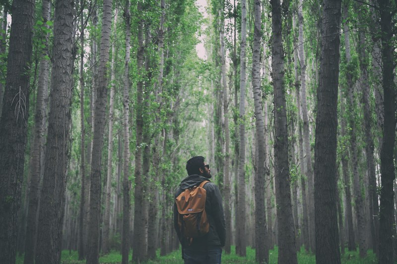 a male backpacker in sunglasses in a forest in tokmok, a walk in the forest 4k