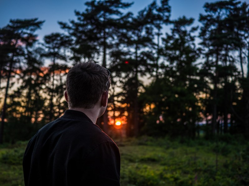 a man looking at the sunset behind a copse of trees, enjoying the sunset 4k