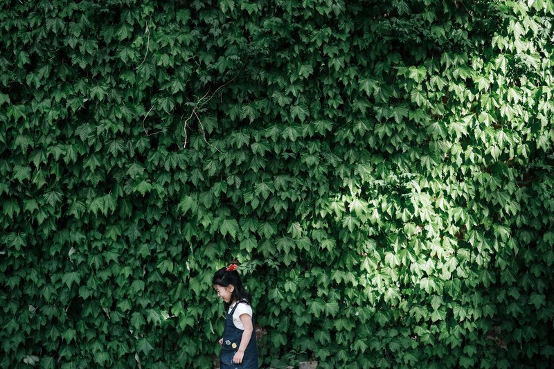 live wall ivy foliage and girl 4k