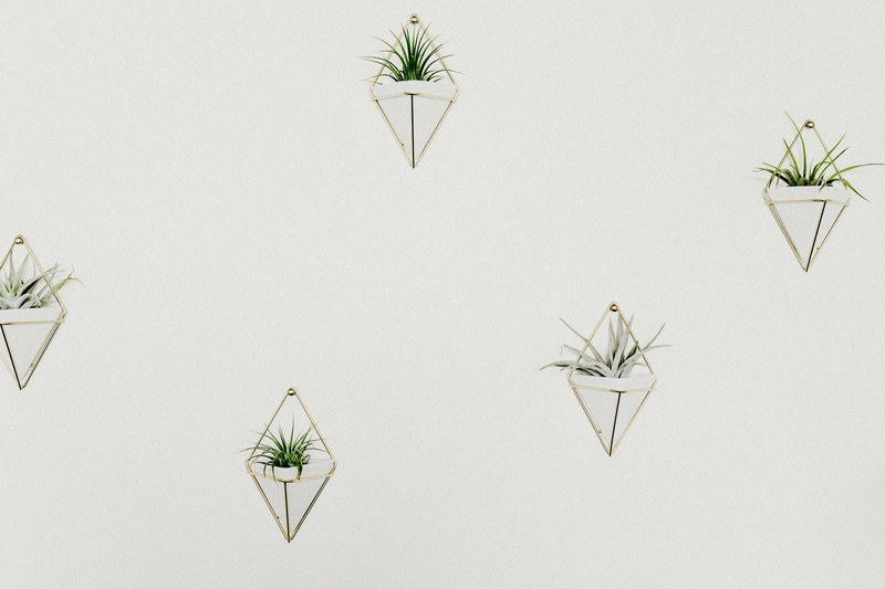 geometric planters with house plants hang on a white wall, hanging plants 4k
