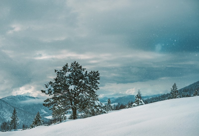 a sloped mountain in new york texas during moderate snowfall, snowing in new york texas 4k