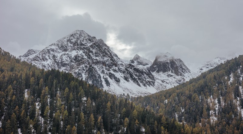 an alpine landscape with rugged snowy peaks towering over evergreen woods, white mountains near evergreen woods 4k