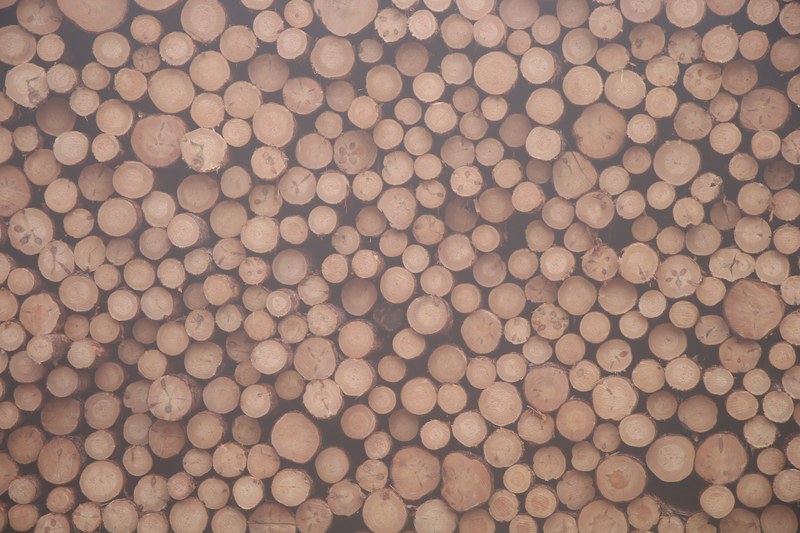 a pale shot of a huge stack of sawn logs, the fallen forest 4k