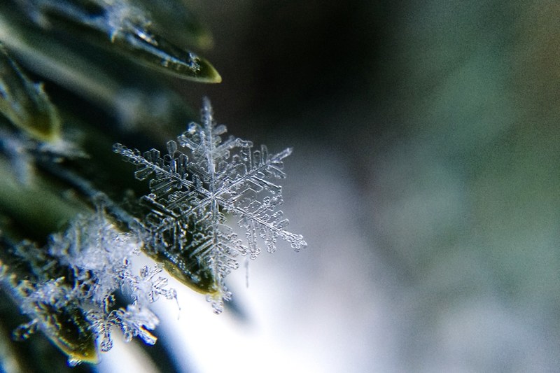 makeday ice small and tree 4k