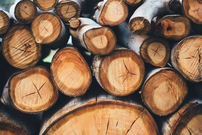 tree branch branch wood pile and wooden log 4k