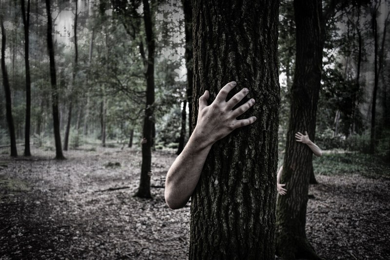 a creepy image of a man holding a tree with his hand in venray, man grabbing a tree 4k