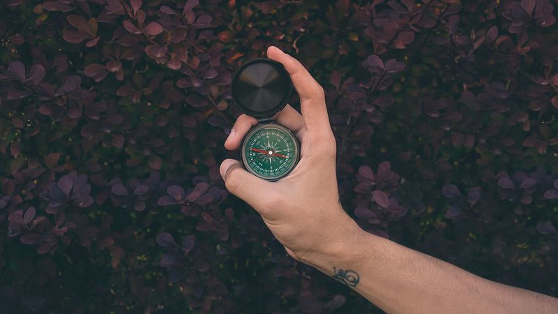 compass, hand, map, 4k