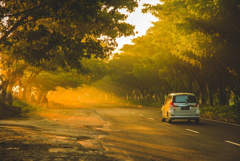 tree moody tone ray of light and street 4k