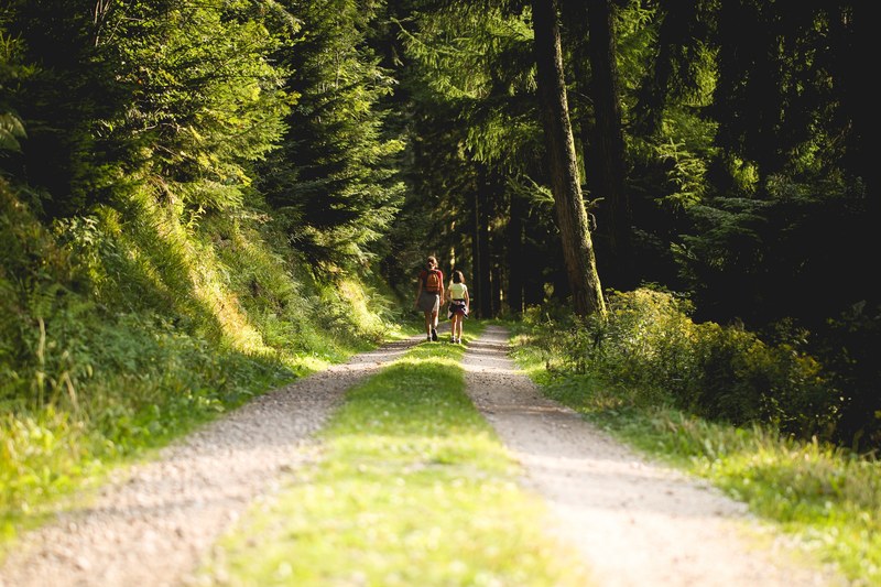 a rear shot of a woman wearing a rucksack walking with her daughter down a gravel track in the black forest, a black forest walk 4k