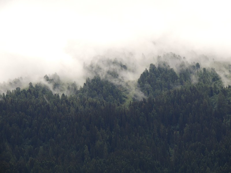 mist rising up above a slope covered by woods in savoie, mist over savoie woods 4k