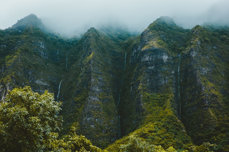 an overgrown cliff under mist, misty cliff 4k