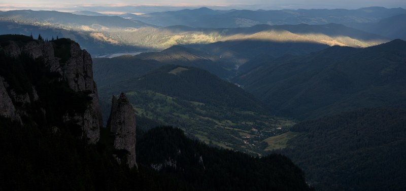 tree alp outdoor and rock 4k