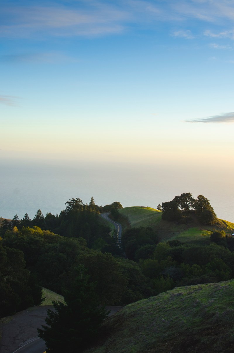 a winding road going up green hills in mount tamalpais state park, winding road on hills 4k
