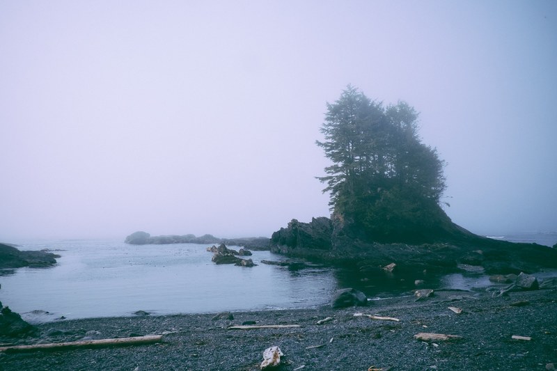 a secluded beach with scattered branches and trees on a rock outcrop, bleak beach by the lake 4k