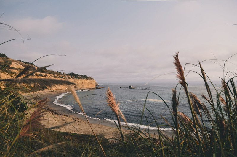 view of the sand beach through the grass at greyhound rock, sand beach view through grass 4k