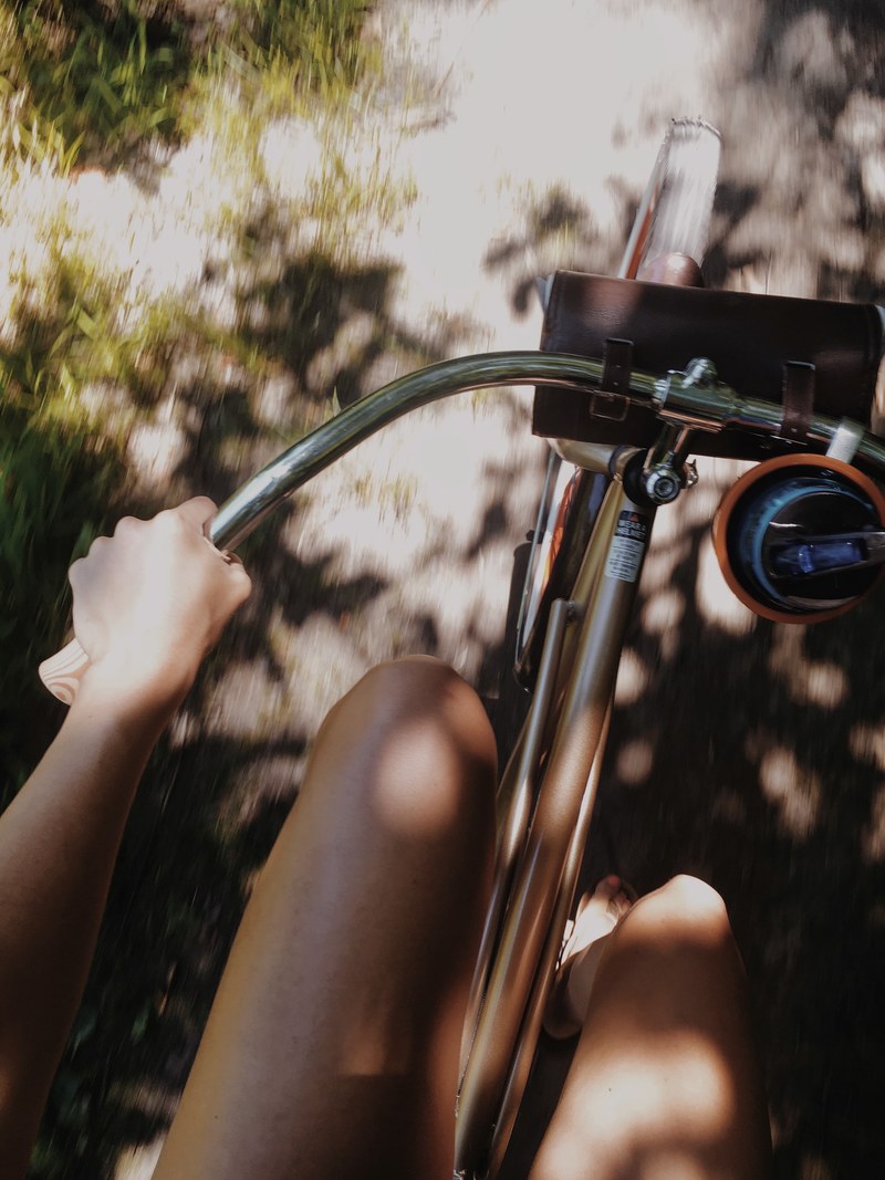 summer outdoor dappled and shadow hd, 4k