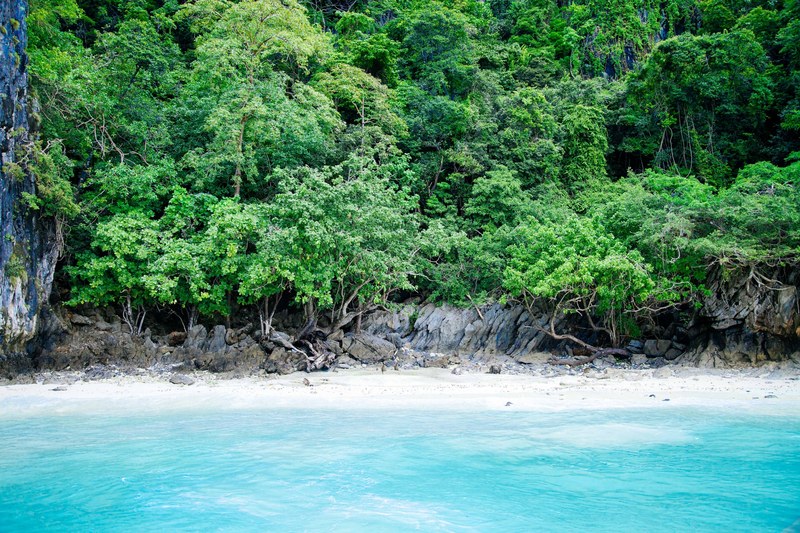 azure sea water and a white sandy beach under a canopy of green trees, secluded sandy beach 4k