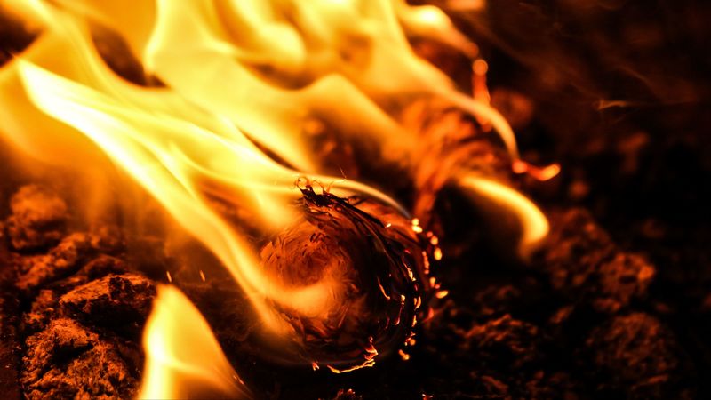 fire, bonfire, ashes, ash, smoldering, 4k