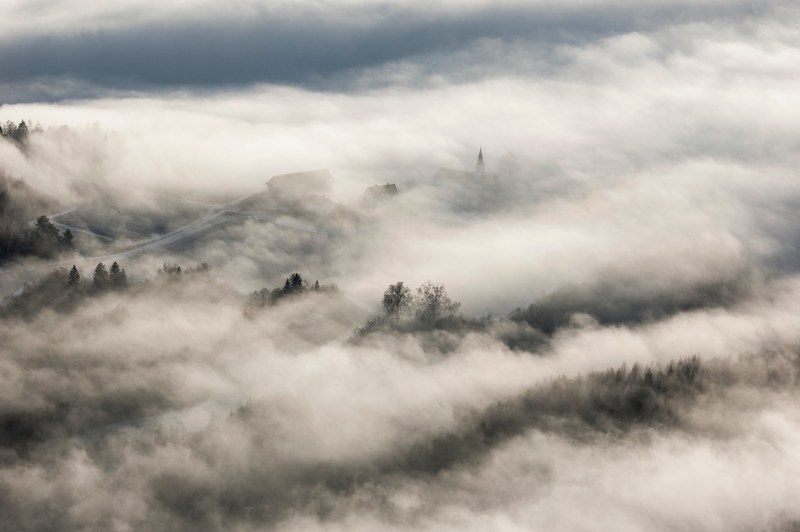 village homes and town trees hidden by fog on a misty morning, hidden village 4k