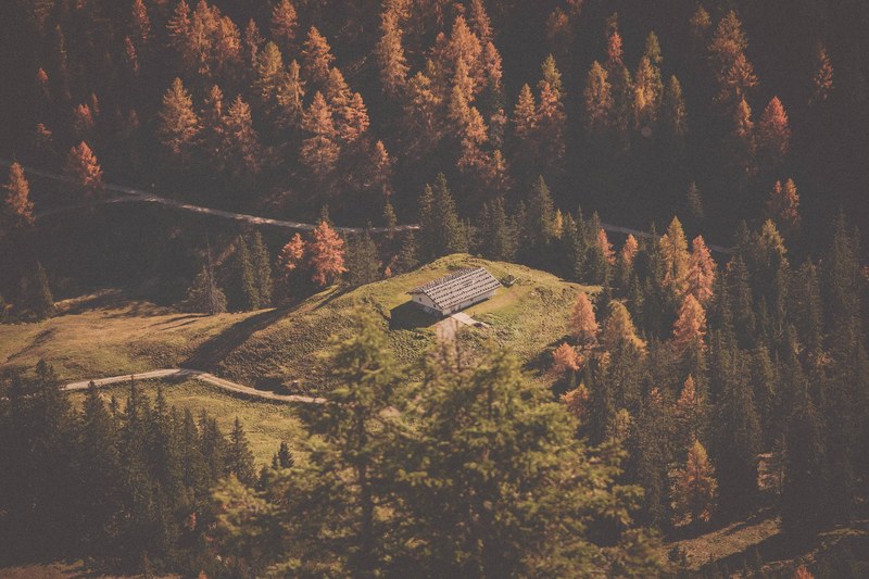 long short house on top of hill between two roads and surrounded by a forest, small hill near the woods 4k