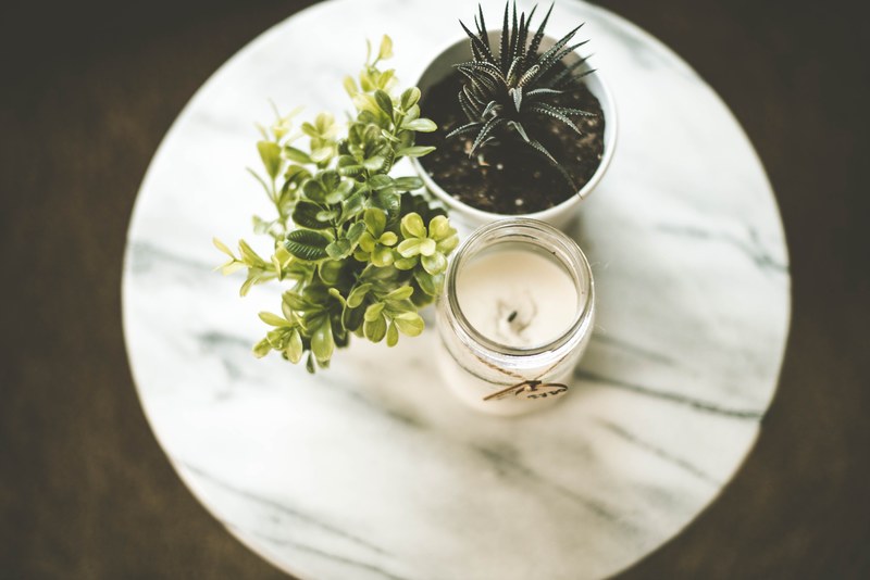 two succulent plants in white pots with a white candle on a marble plate, garage sale finds 4k