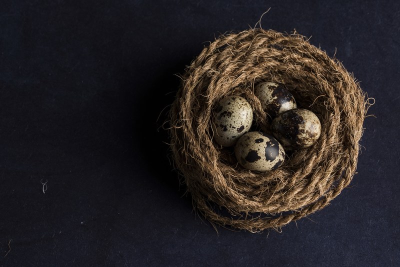 egg food nest and dark 4k