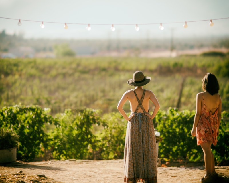 women in summer dresses standing outside a mogor vineyard looking upon the field under the sunlight, watching the mogor vineyard 4k