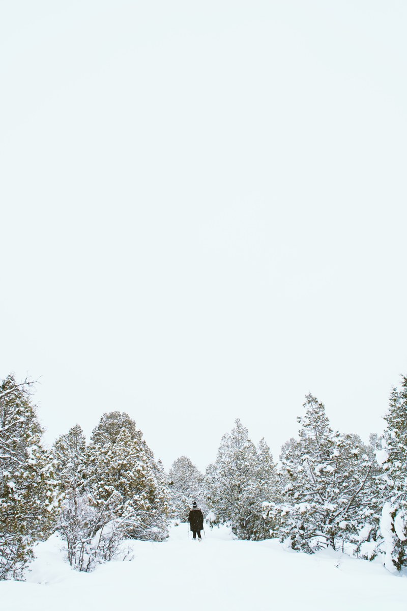a person walking on snow among small trees in summit county, alone in the snow 4k