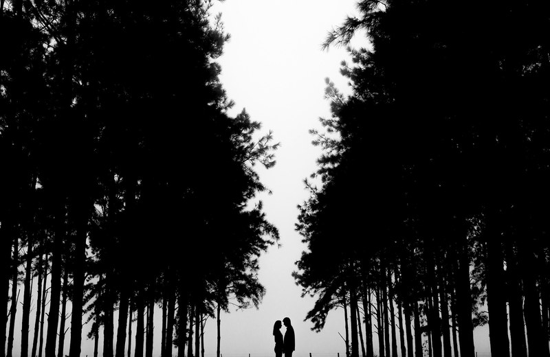chuva nature tree and wedding day 4k
