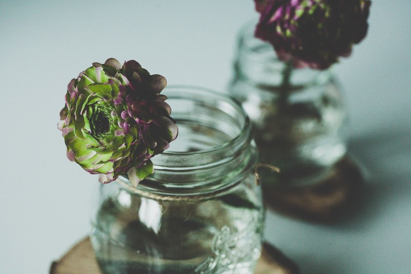 two dahlia flowers in glass jars, dalias in jars 4k