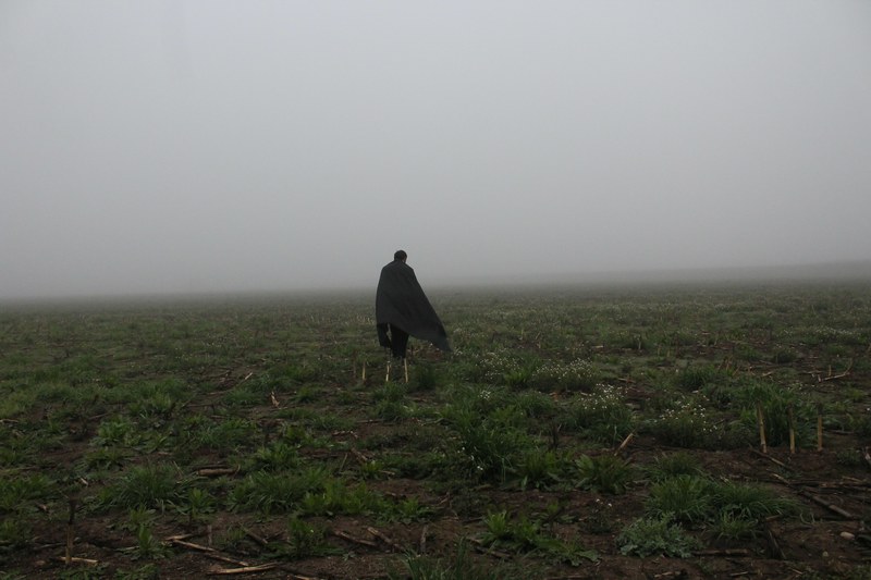 a person walking through a field, _walking field lane 4k