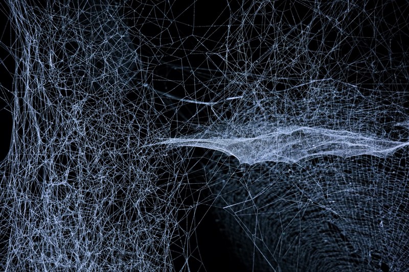 white intricate cobweb art in the dark shown at power station of art, network everything 4k