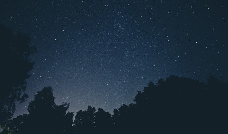 a dark blue sky full of stars above silhouettes of trees, silhouette trees under a starry sky 4k