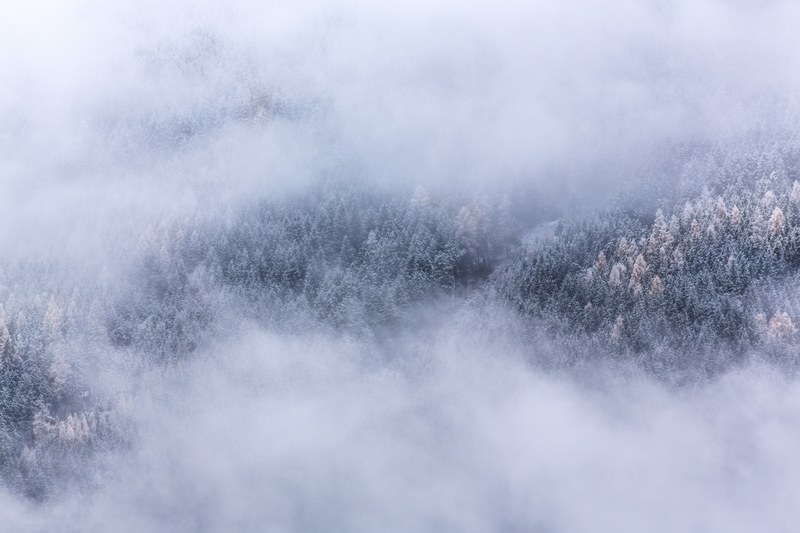fog shrouding a snow covered evergreen forest at gemeinde neukirchen am grovenediger, winter fog snow and wood 4k