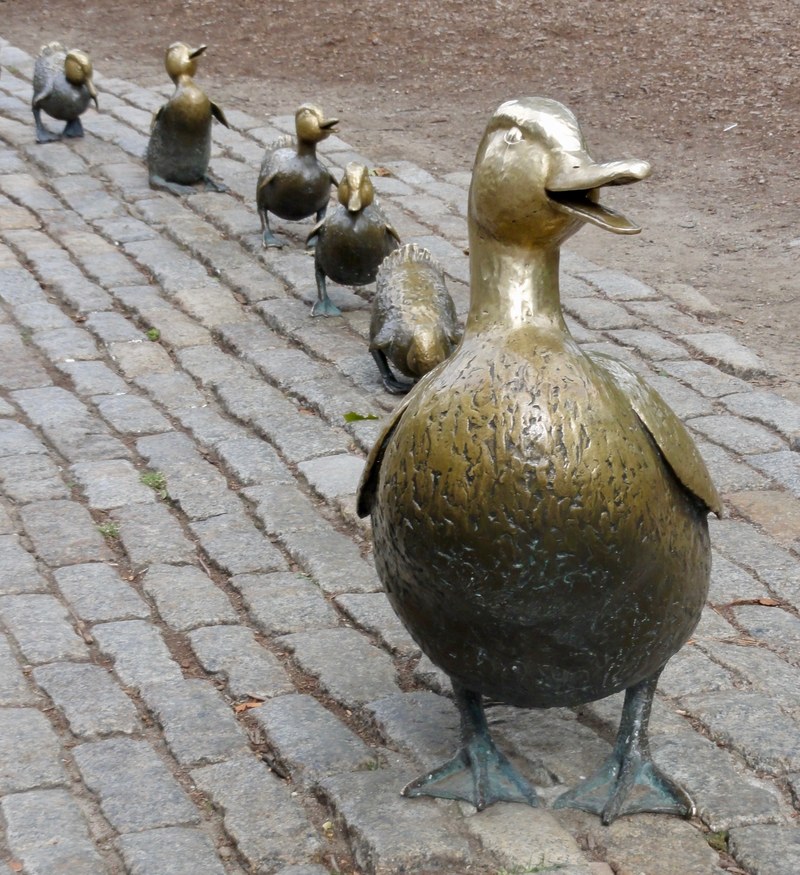 duck book make way for duckling and boston garden hd, 4k