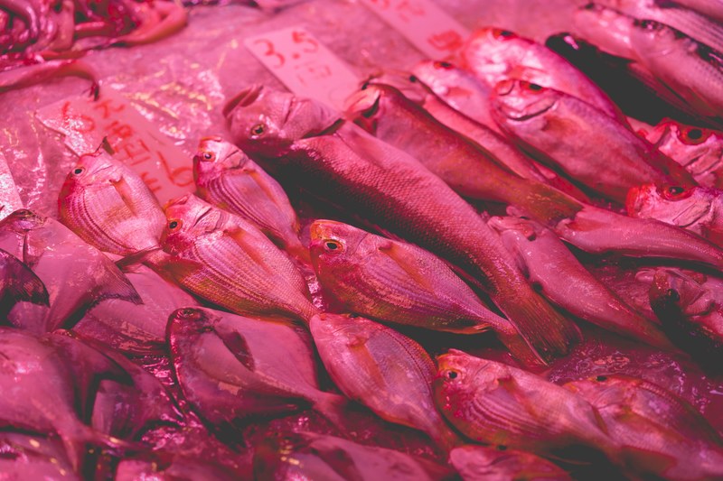 fish market fish market and market stall 4k