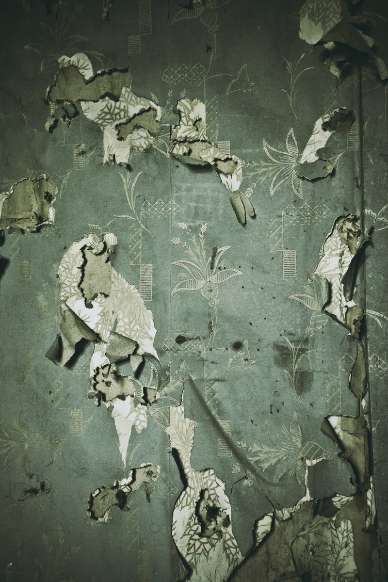 spooky pale decorative and room hd, 4k