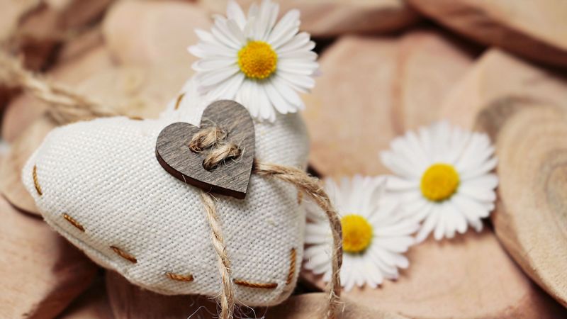 heart, daisies, threads, romance, 4k