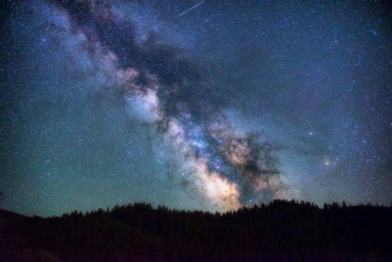 colorful nebulae on the night sky over the silhouettes of coniferous trees, nebulae over trees 4k