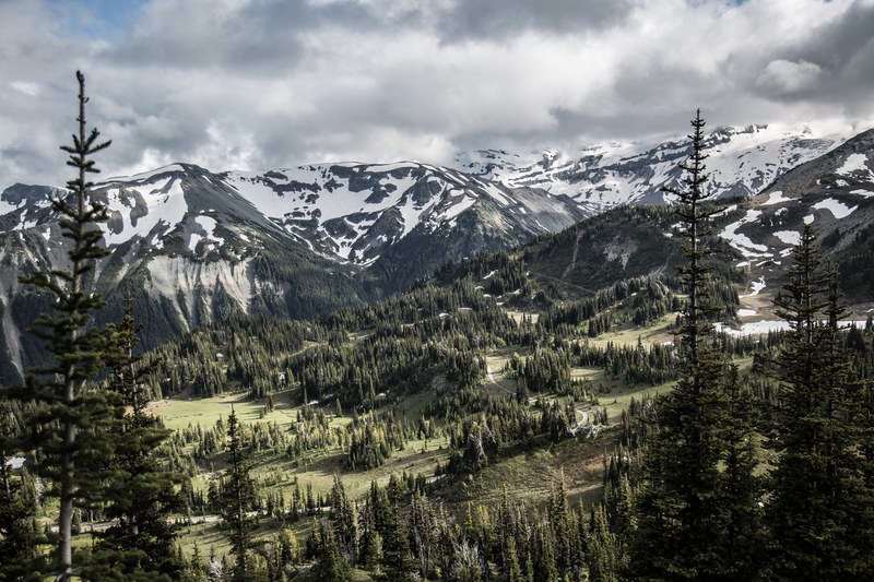 evergreen trees scattered across hills near snow covered mountains, wood for the trees 4k