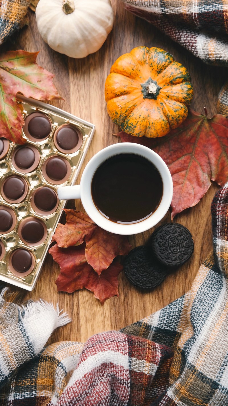 pumpkin cookie biscuit and blanket hd, 4k