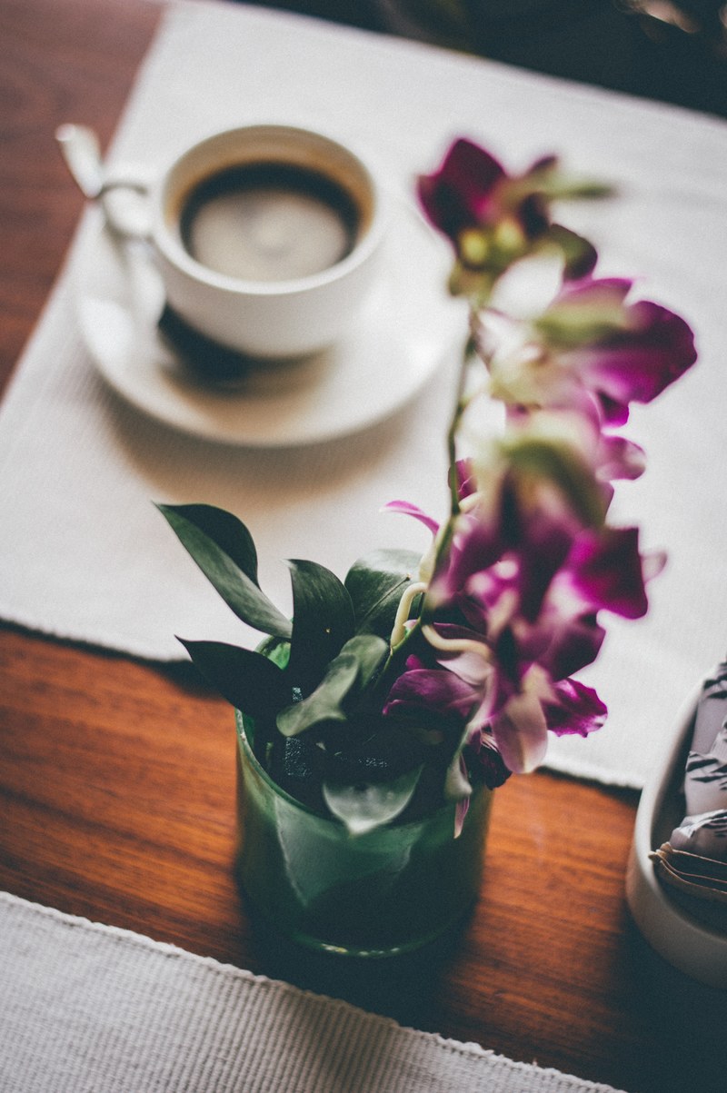 coffee diaries 4k