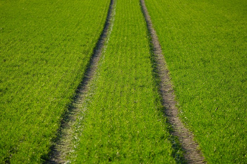 line minimalism minimal and meadow 4k