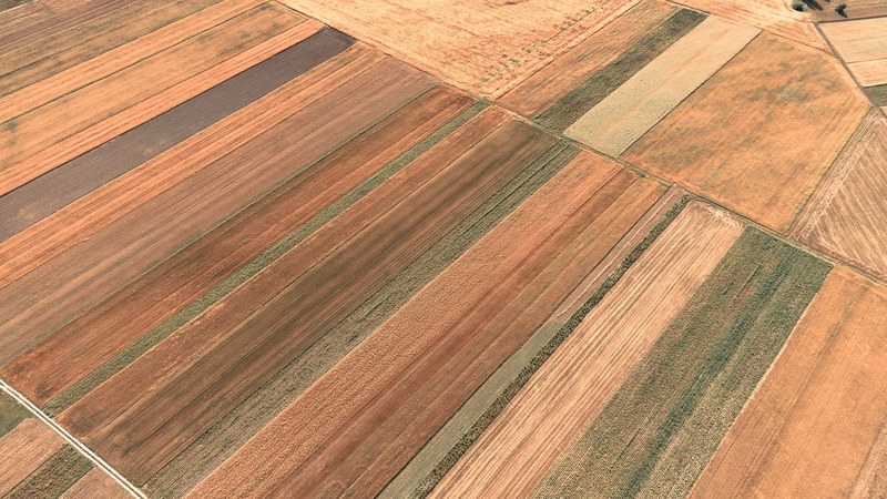 field aerial harvested field and agriculture 4k
