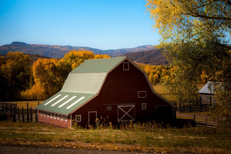 barn farm farm building and structure 4k