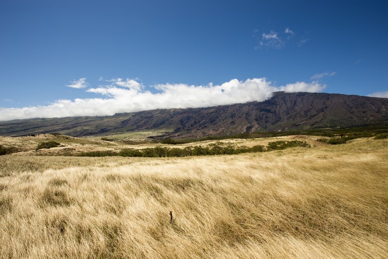 a field of dry grass at the food of a long mountain range, yellow grass under the mountain 4k