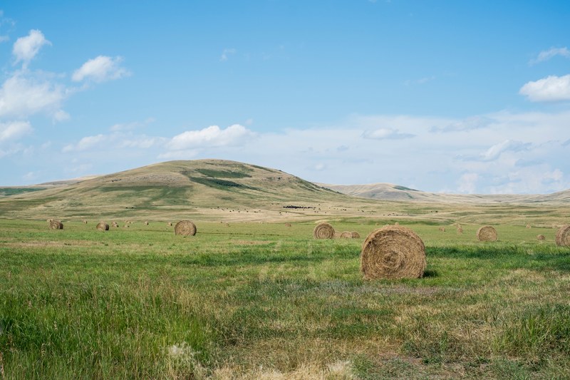 hay meadow field and haystack 4k