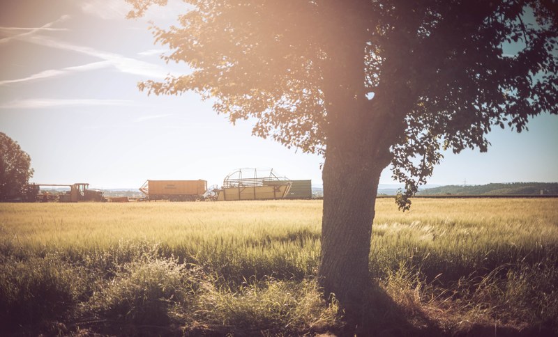 agricultural snapshot factory sun and summer 4k