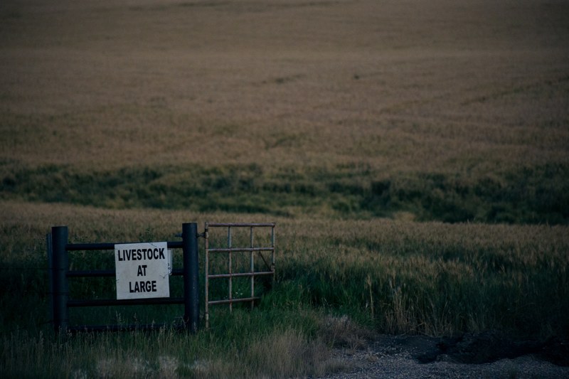 industry farming wheat and be careful 4k