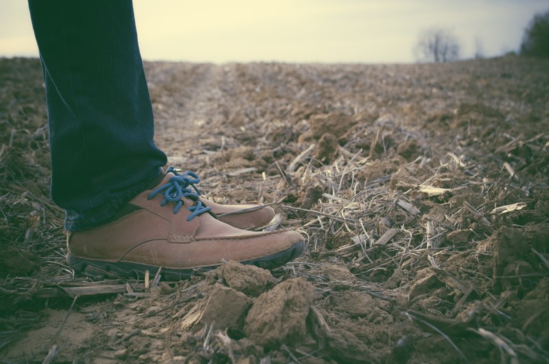 low shot of person standing in a desolate farm field in brown shoes, standing in the field 4k